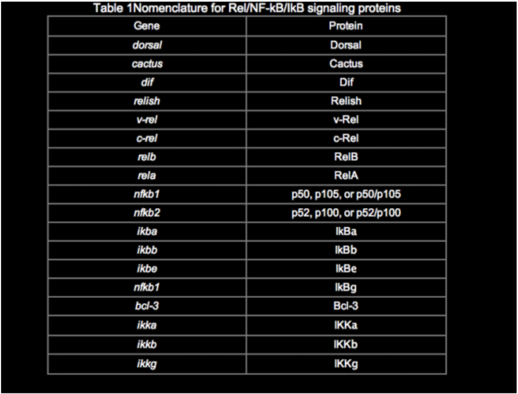Table 1 Rel/NF-kB-lkB signaling proteins
